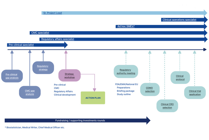 Action plan_webben